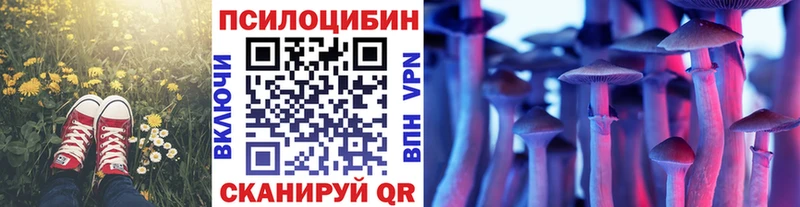 Псилоцибиновые грибы Psilocybine cubensis  Вологда 
