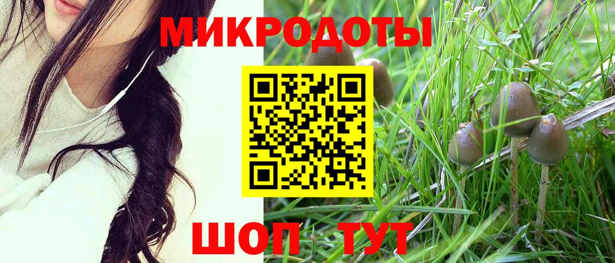 Вологда  Галлюциногенные грибы ЛСД  Вход с VPN 